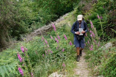 _DSC8293-Porlock-to-Lynmouth.jpg