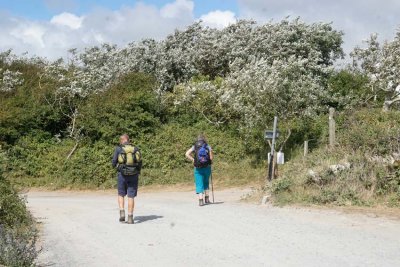 _DSC8698-Near-Braunton.jpg