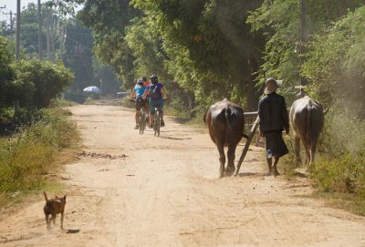 _DSC0822-Cycle-to-Pakkoko.jpg