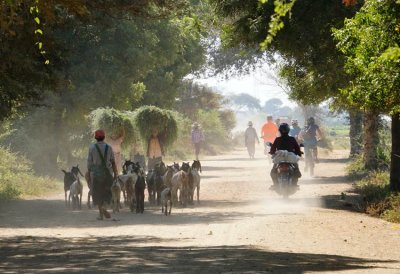 _DSC0826-Cycle-to-Pakkoko.jpg