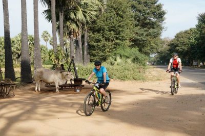 _DSC1331-Cycle-to-Mt-Popa.jpg