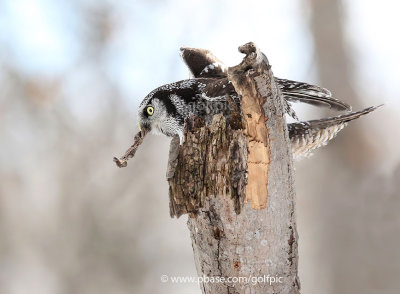 A balancing act