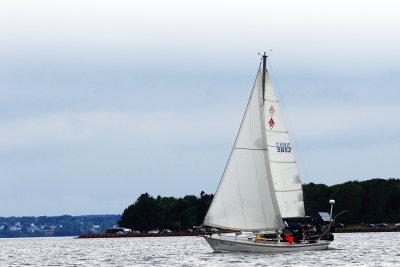 138A1238.JPG