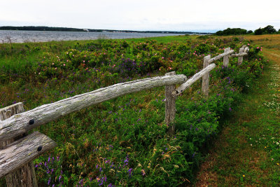138A1171.JPG