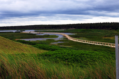 138A1205.JPG