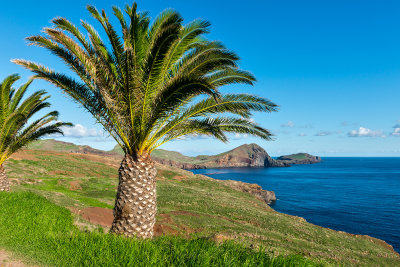 Visit to Madeira September 2016