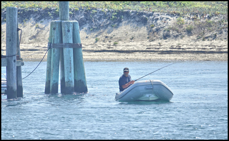 Fisherman