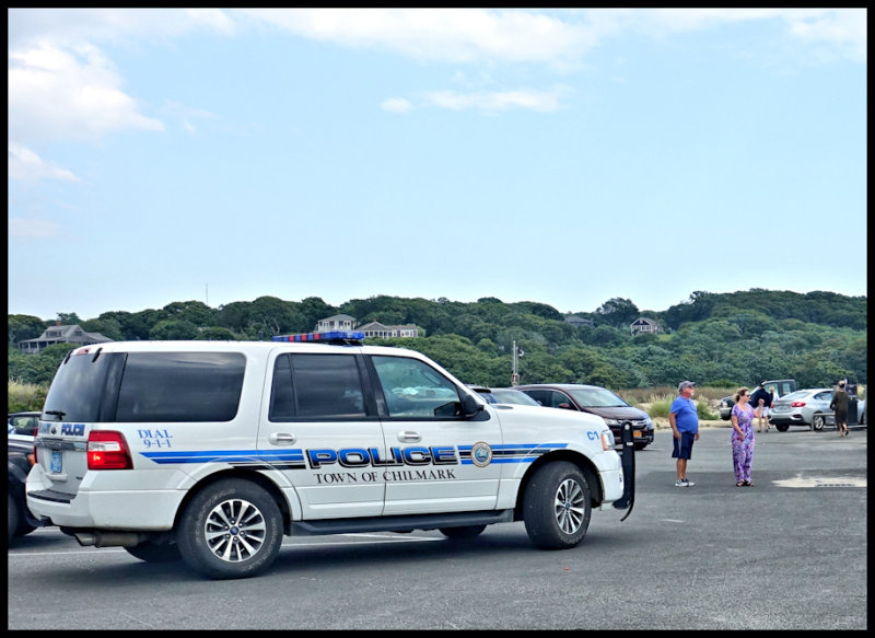 The cops