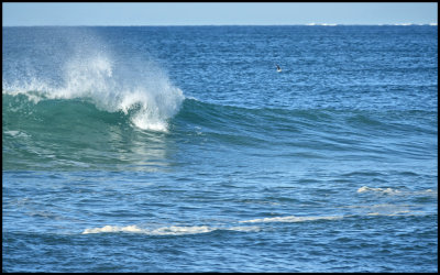 A wave