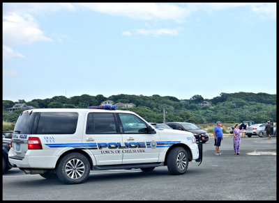 The cops