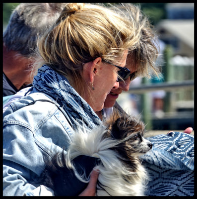 Windblown 