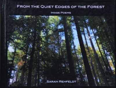 From the Quiet Edges of the Forest