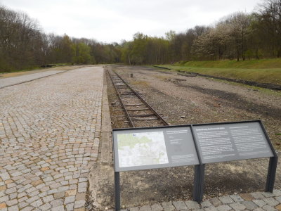 D - Buchenwald... 4/2017
