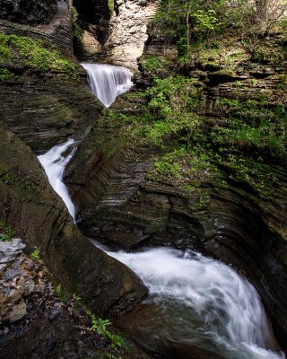 Spring at Finger Lakes