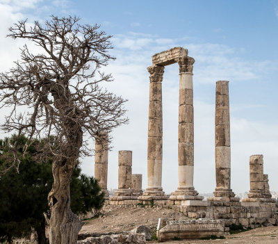 Amman Citadel-51.jpg