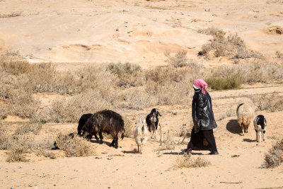 Bedouin Camp-8.jpg