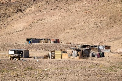 Bedouin Camp-14.jpg