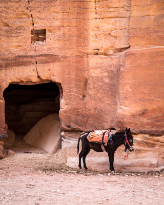 Rose-Red City of Petra-9.jpg