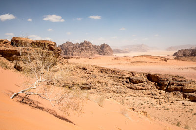 Wadi Rum-18.jpg