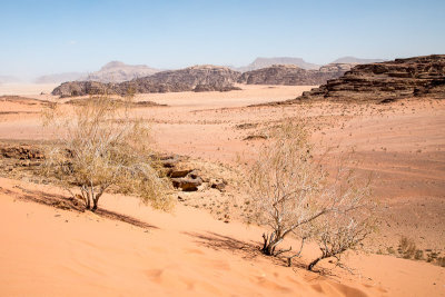Wadi Rum-20.jpg