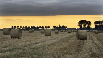 Hooibalen nabij Kloosterzande (kerk aan horizon)