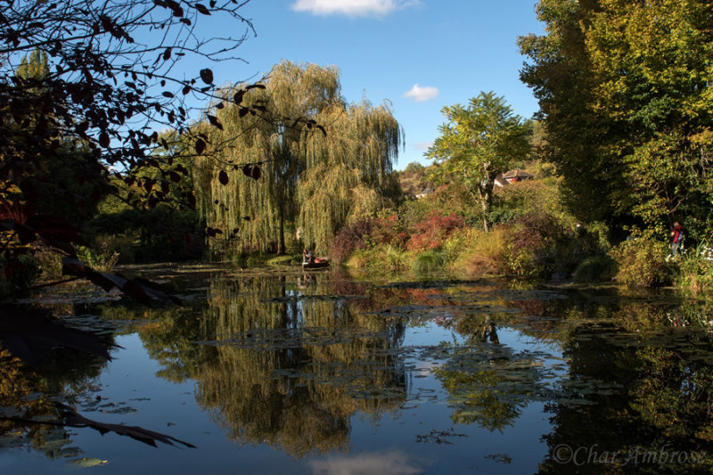 Monets Water Garden