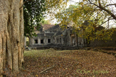 Preah Khan Exterior View