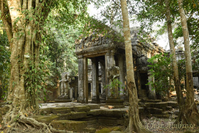 Preah Khan Temple