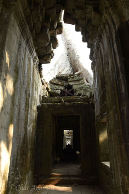 Gallery in Preah Khan Looking Out at Tree Trunk