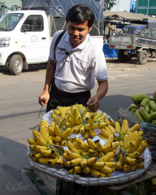 Our Guide, Dominic, Checking the Bananas