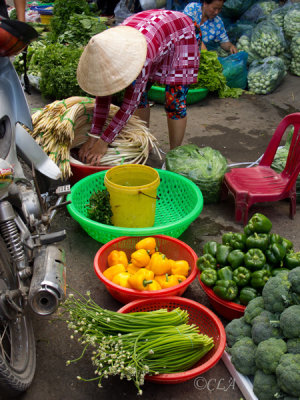 Vegetable Seller in the Sa Dec Market