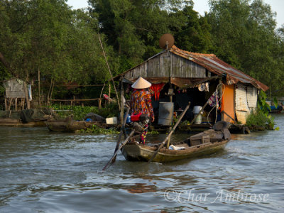 Cruising Home on the Mekong