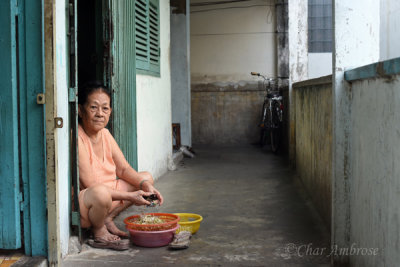 Vietnamese Lady at Home