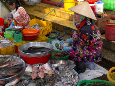 Fish at the Sa Dec Market