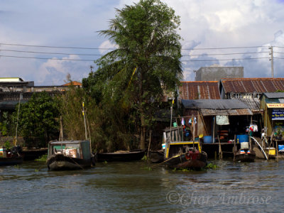 Mekong River Scene