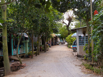 Main Road on Evergreen Island