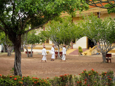 Monks on the Grounds of Vipassana Dhura Monastery