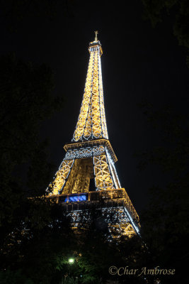 Eiffel Tower Light Show