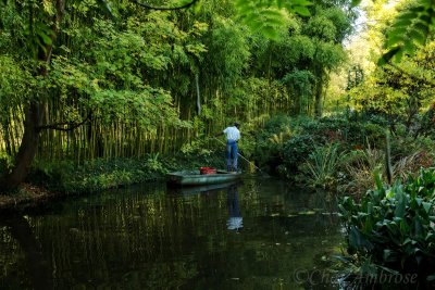 Monet's Water Garden 