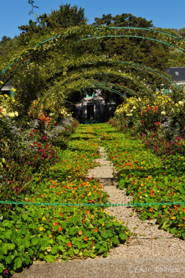 Monet's Garden