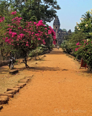 Approach to Bakong