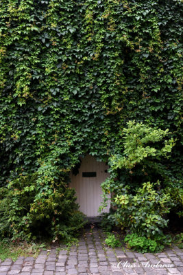 Doorway in Edinburgh