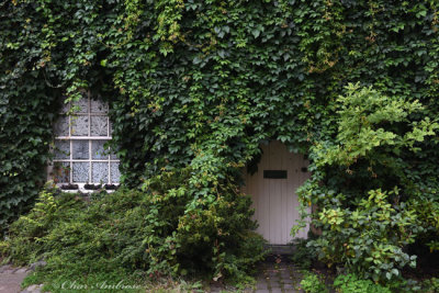 View of the Door and Window Together