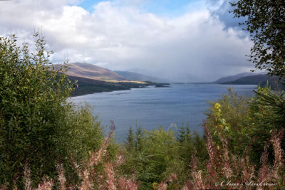 Loch Carron Viewpoint
