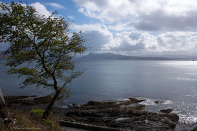 View from Armadale Toward the Water