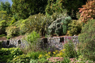 Lush Garden Wall at Armadale