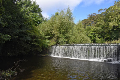 Waterfall on the Water of Leith