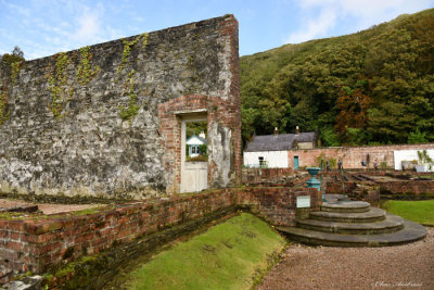 A Wall Remnant at Kylemore