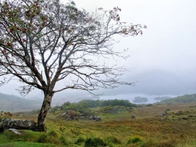 Somewhere along the Ring of Kerry