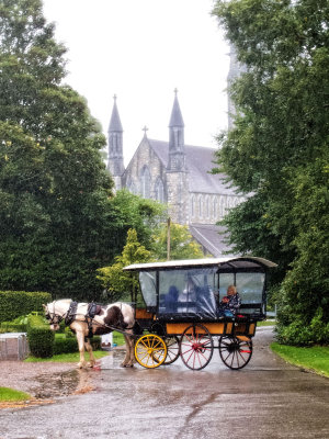 Jaunting Car Ride